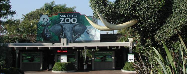 San Diego Zoo San Diego Zoo